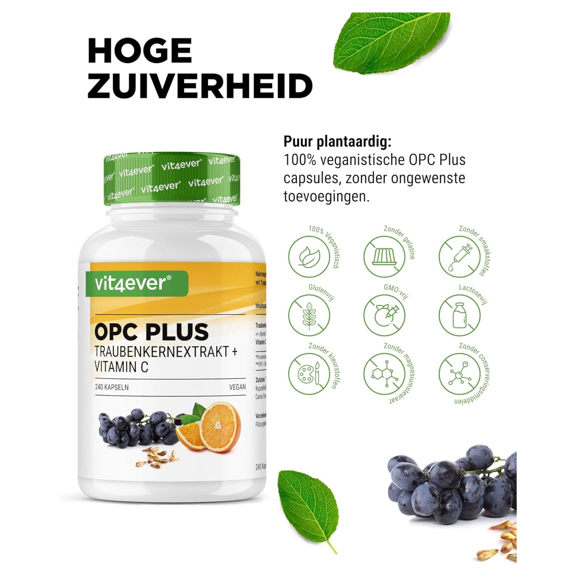 vit4ever druivenpit extract + vitamine C