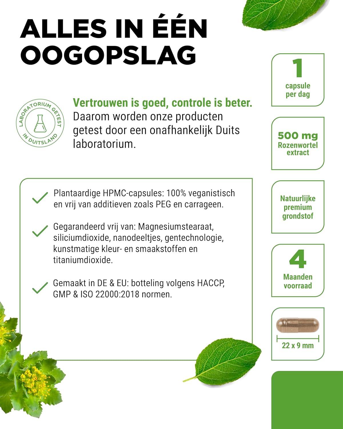 Rosenwurz-Extrakt 500 mg | 120 Kapseln | Vit4ever