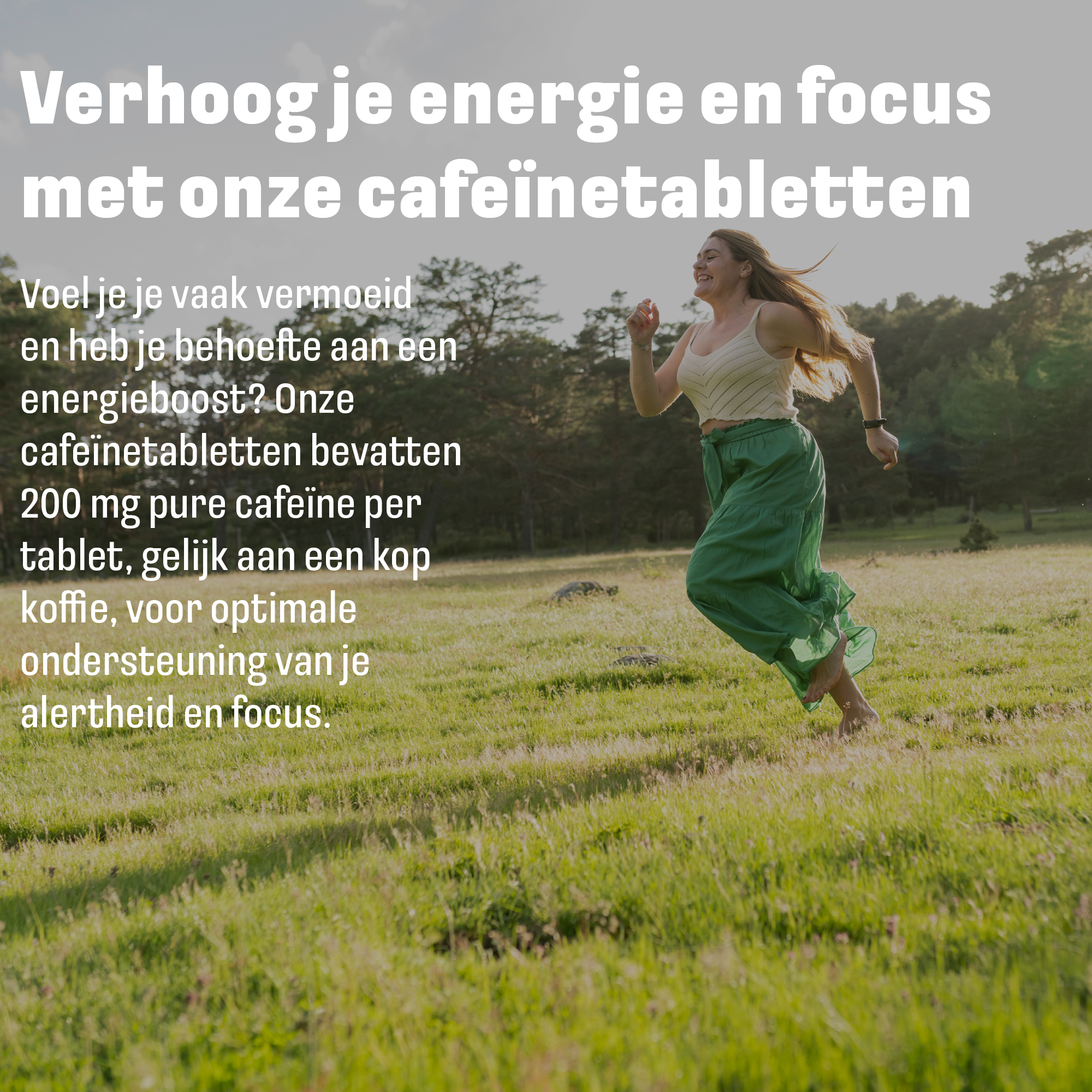 Koffeintabletten 250 mg | 200 Tabletten | LUTO Supplements