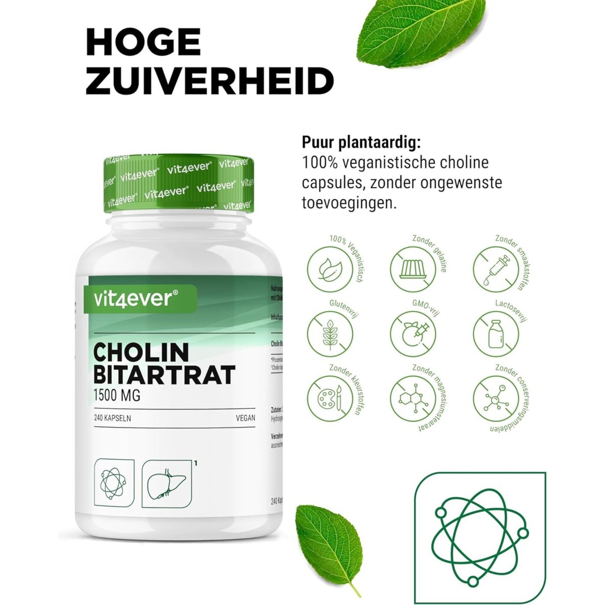 Cholinbitartrat 750 mg | 240 Kapseln | Vit4ever