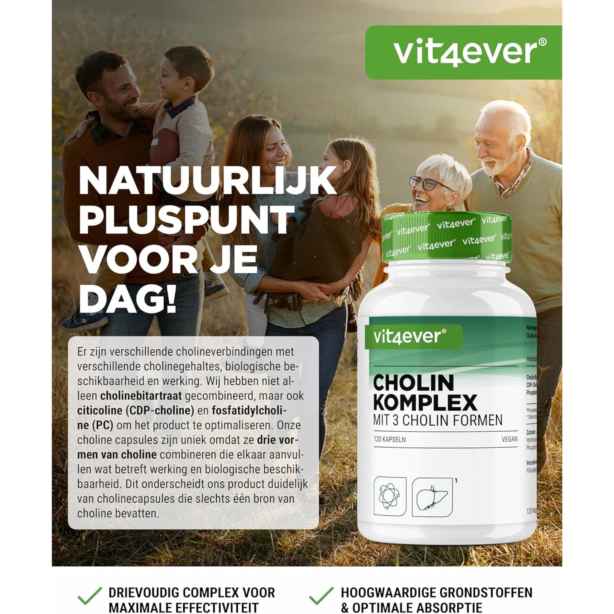 Cholin-Komplex in 3 Formen | 120 Kapseln | Vit4ever