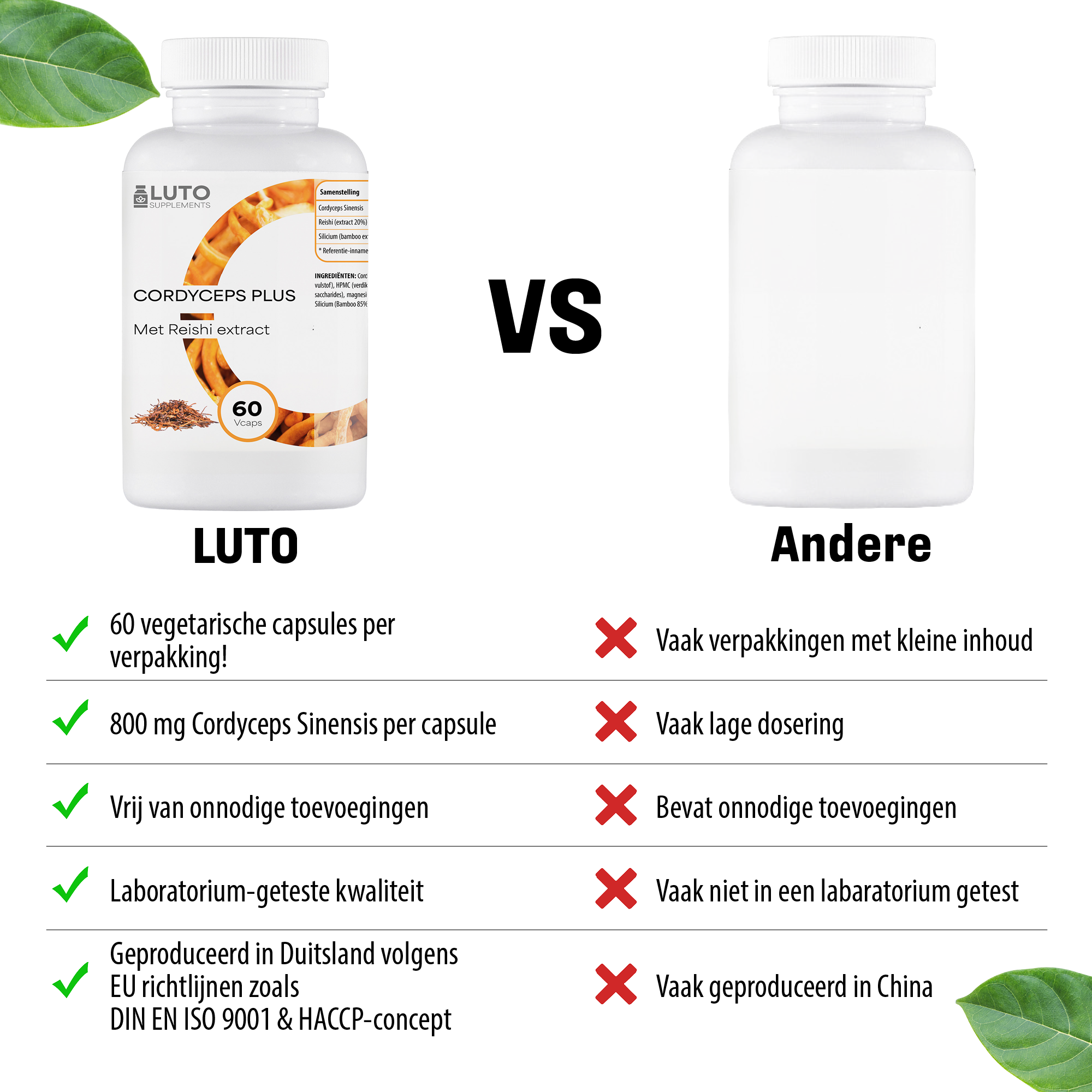 Cordyceps Plus (mit Reishi-Extrakt) | 60 Kapseln | LUTO Supplements