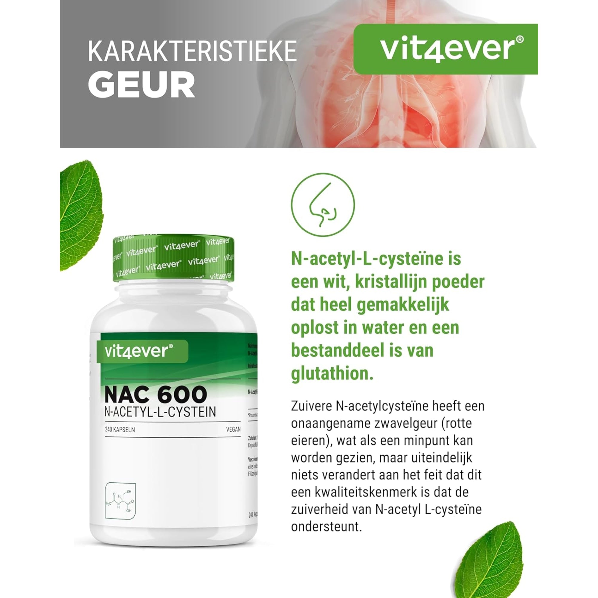 NAC | N-Acetyl-L-Cystein | 180 Kapseln | 600 mg | 6-Monats-Vorrat | Vegan | Hochdosiert | Vit4ever