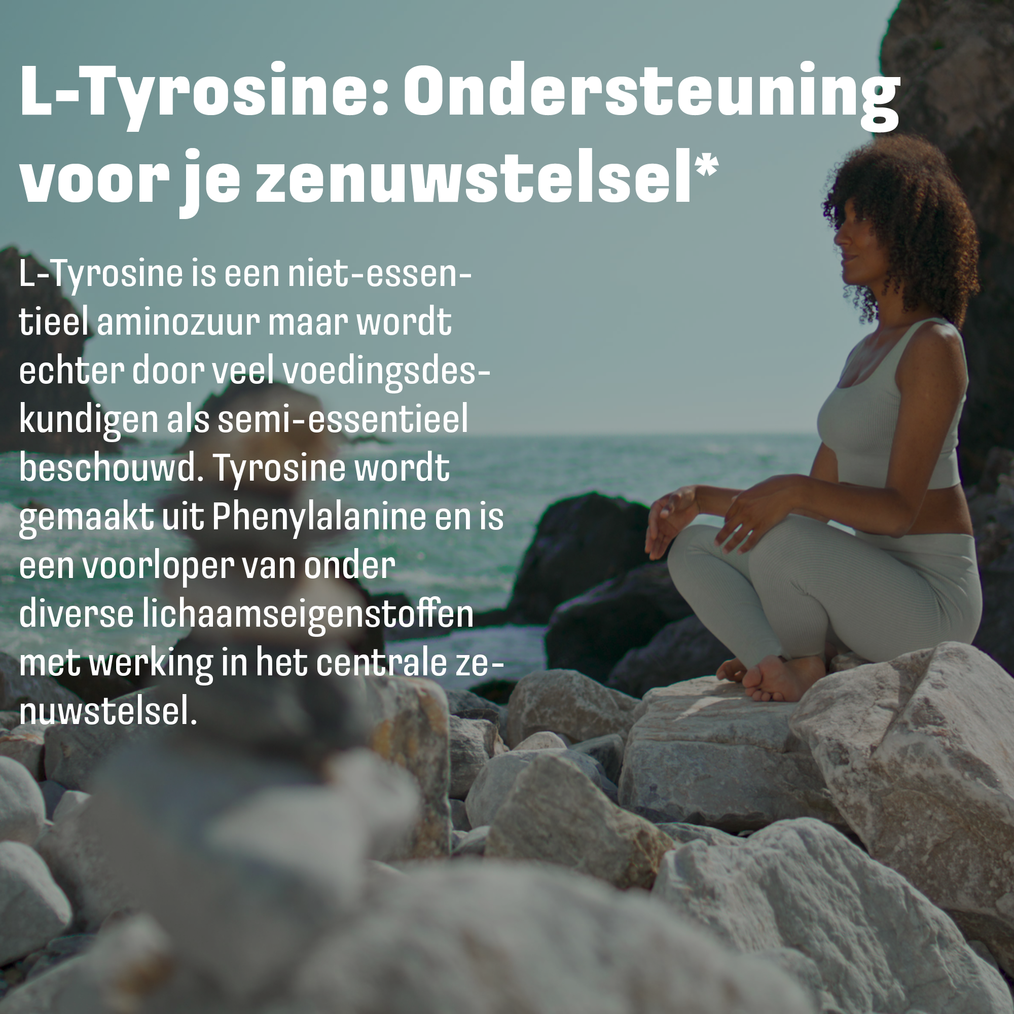 L-Tyrosin (L-Tyrosin + Biotin) 1200 mg | 90 Kapseln | LUTO Supplements