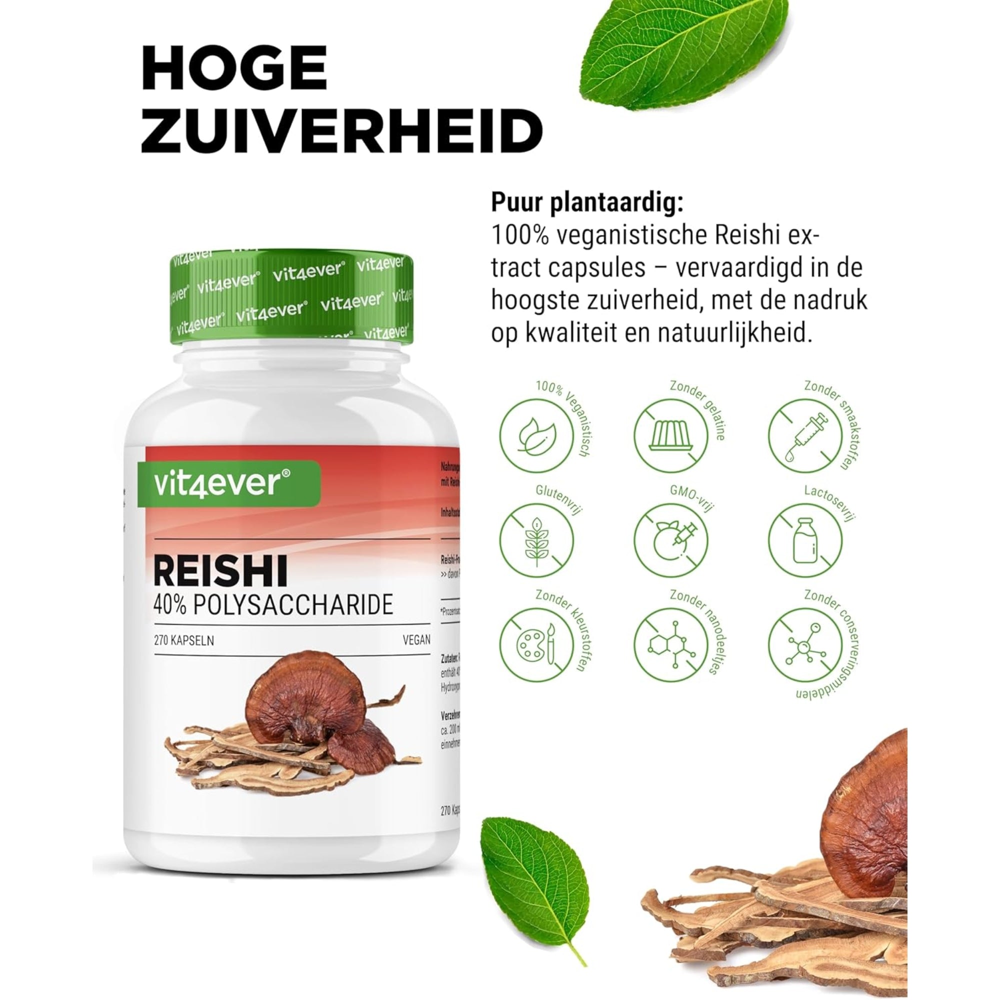 Reishi Intenso 1300 mg | 180 Kapseln | Vit4ever
