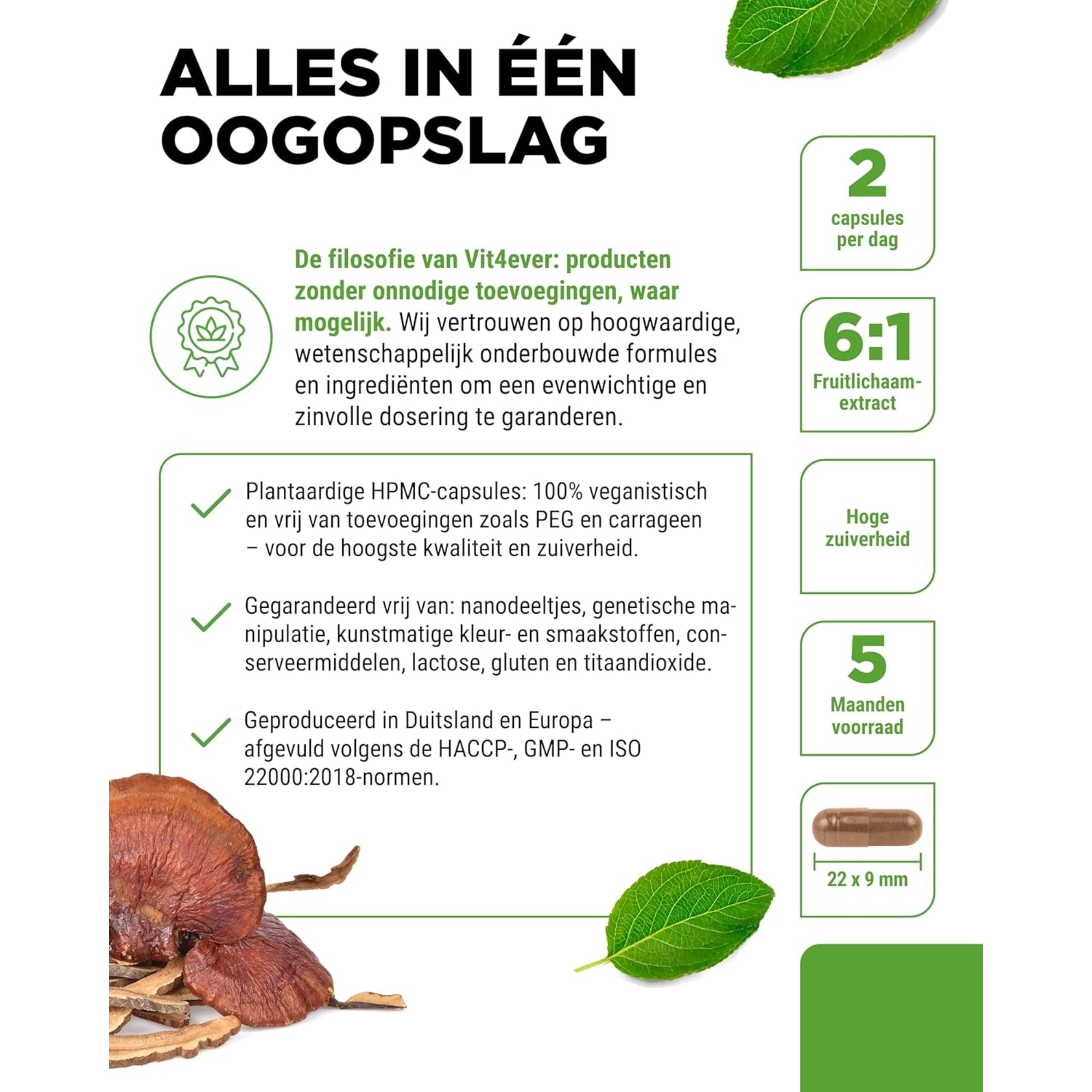 Reishi Intenso 1300 mg | 180 Kapseln | Vit4ever