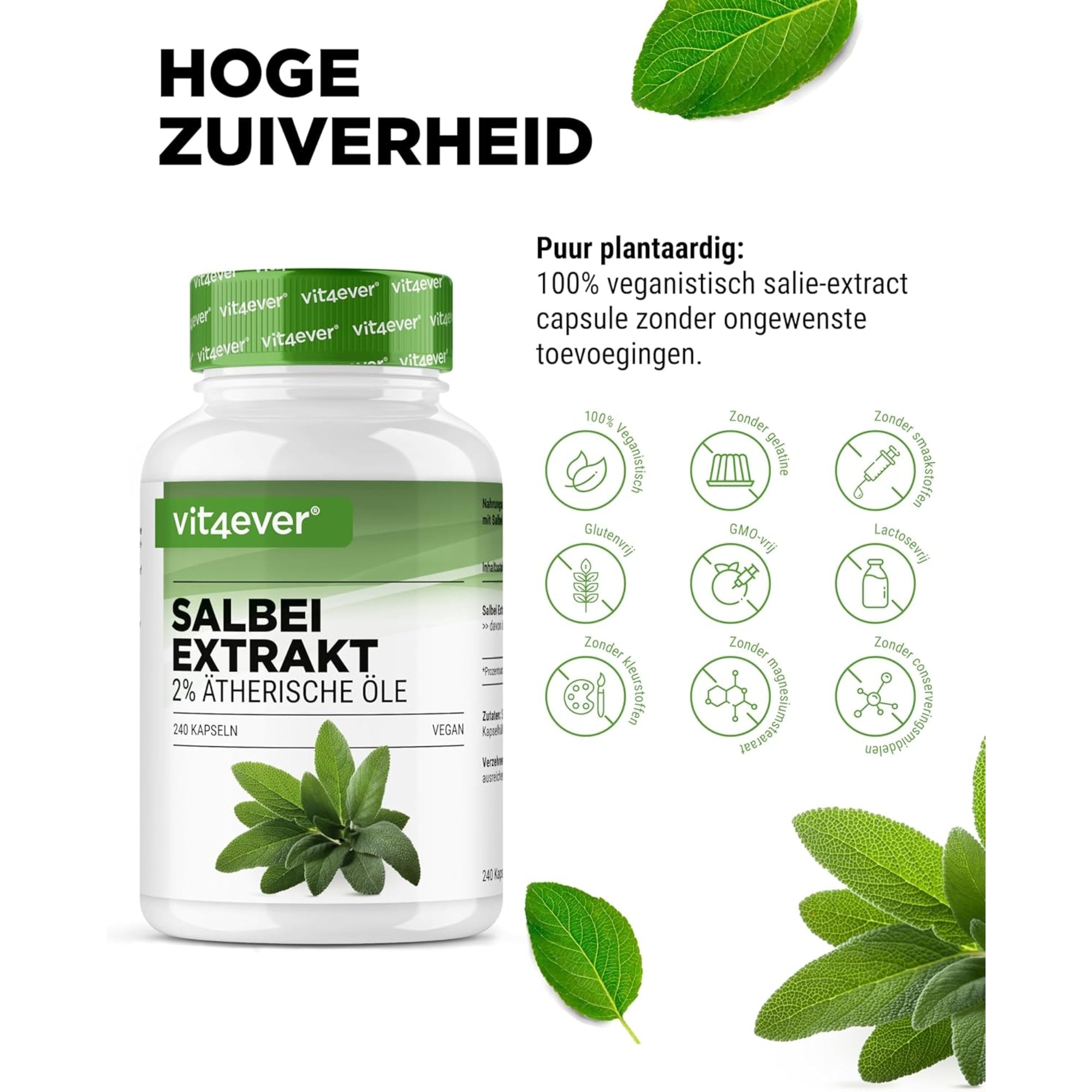 Salbei-Extrakt | 240 Kapseln | Vit4ever
