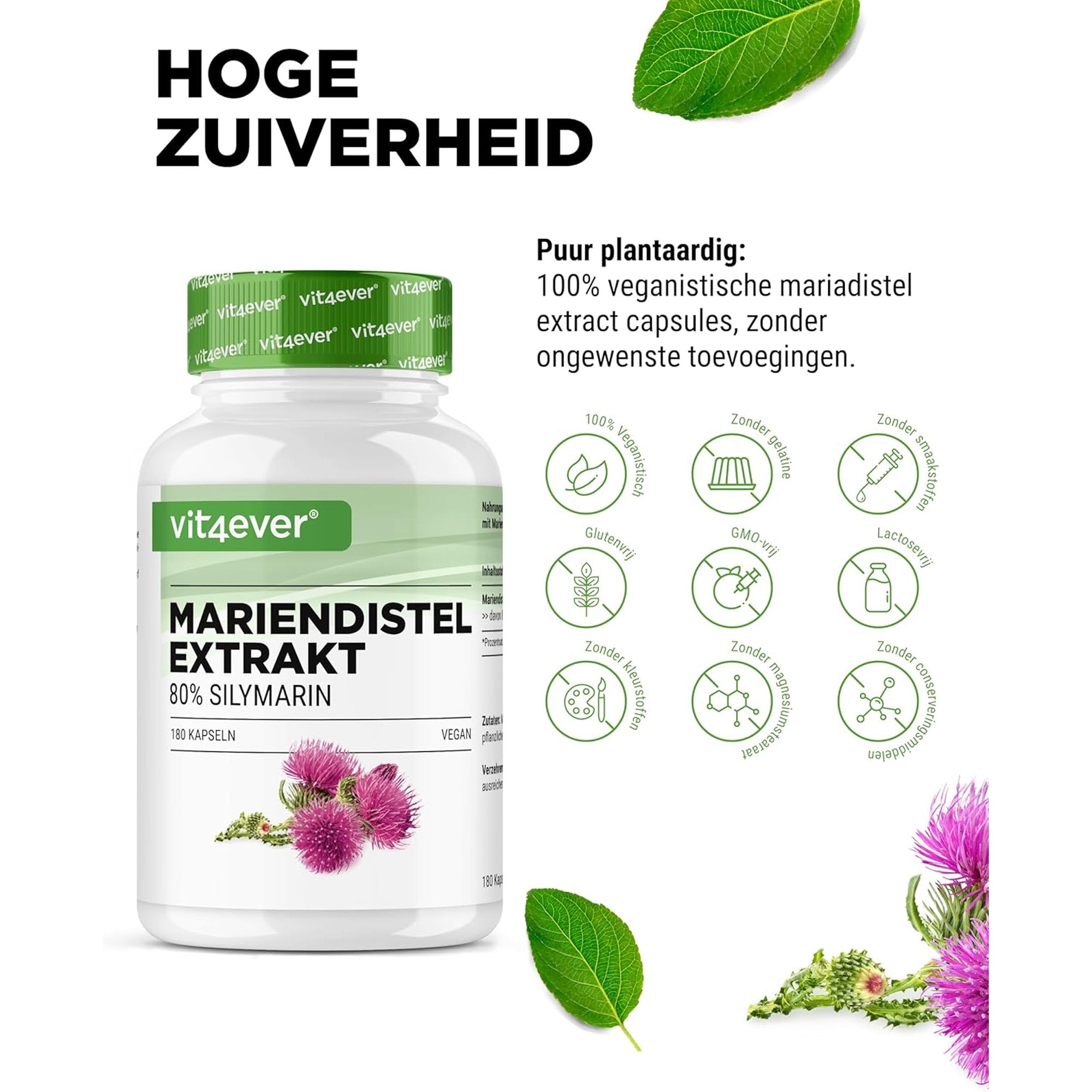 Mariendistelextrakt (80 % Silymarin) 500 mg | 180 oder 365 Kapseln | Vit4ever