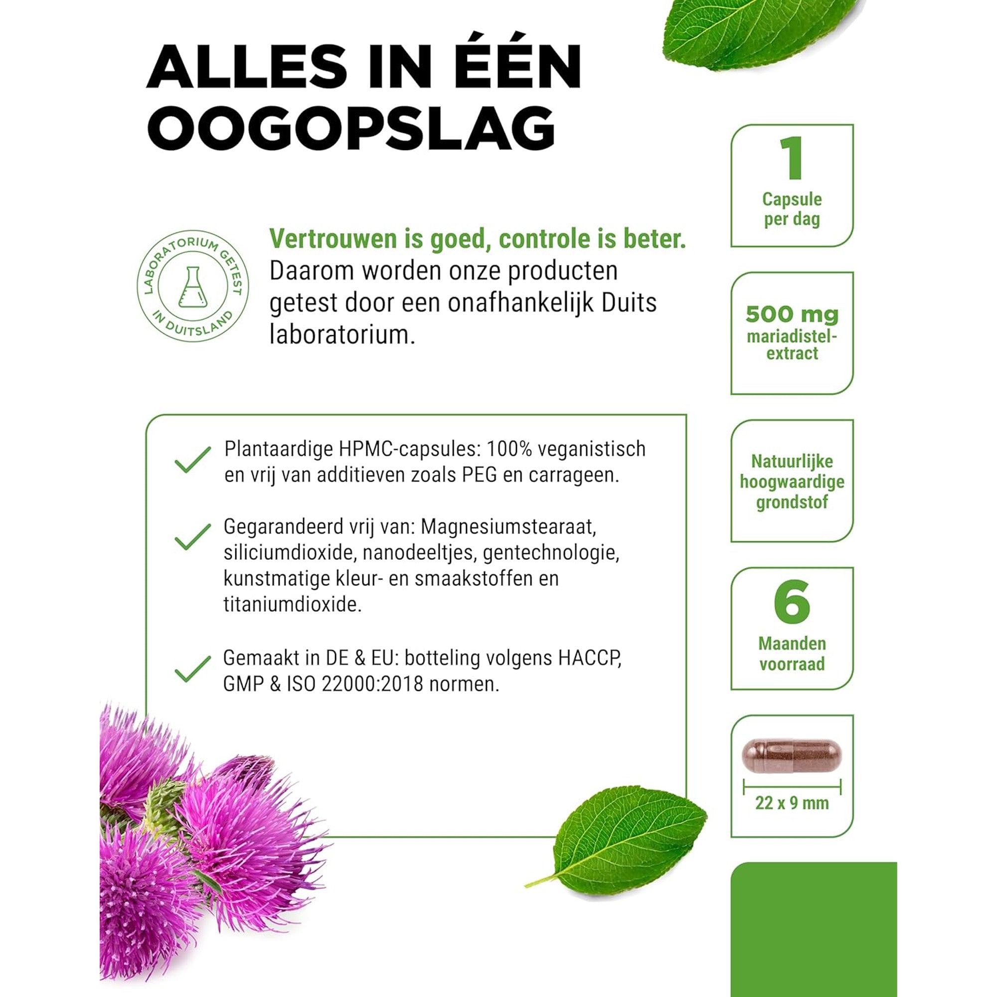 Mariendistelextrakt (80 % Silymarin) 500 mg | 180 oder 365 Kapseln | Vit4ever