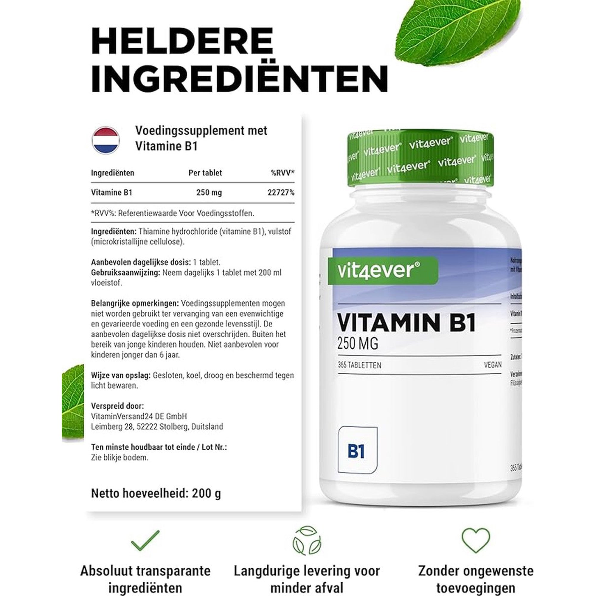 Vitamin B1 (Thiamin) 250 mg | 365 Tabletten | Vit4ever