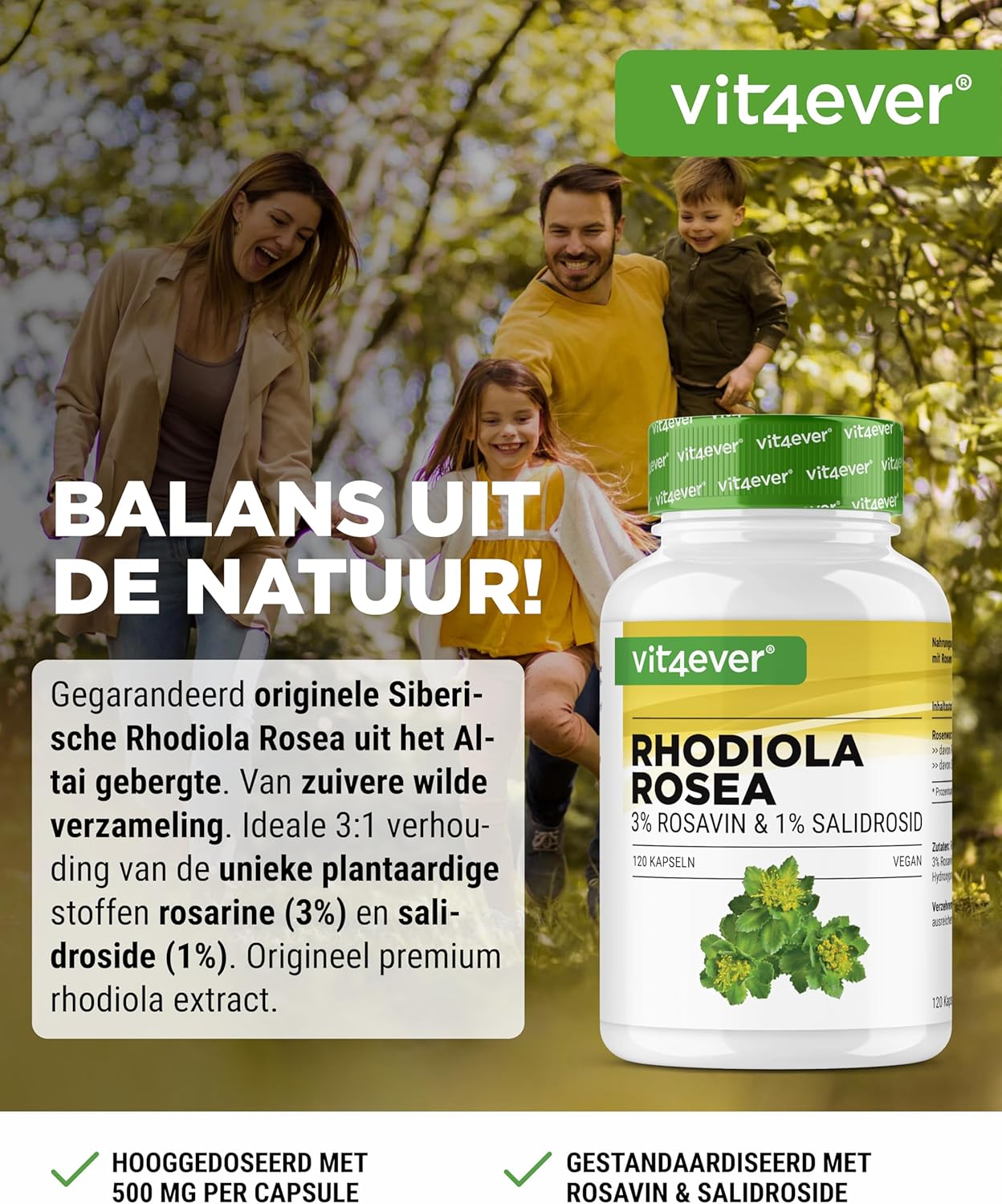 Rosenwurz-Extrakt 500 mg | 120 Kapseln | Vit4ever