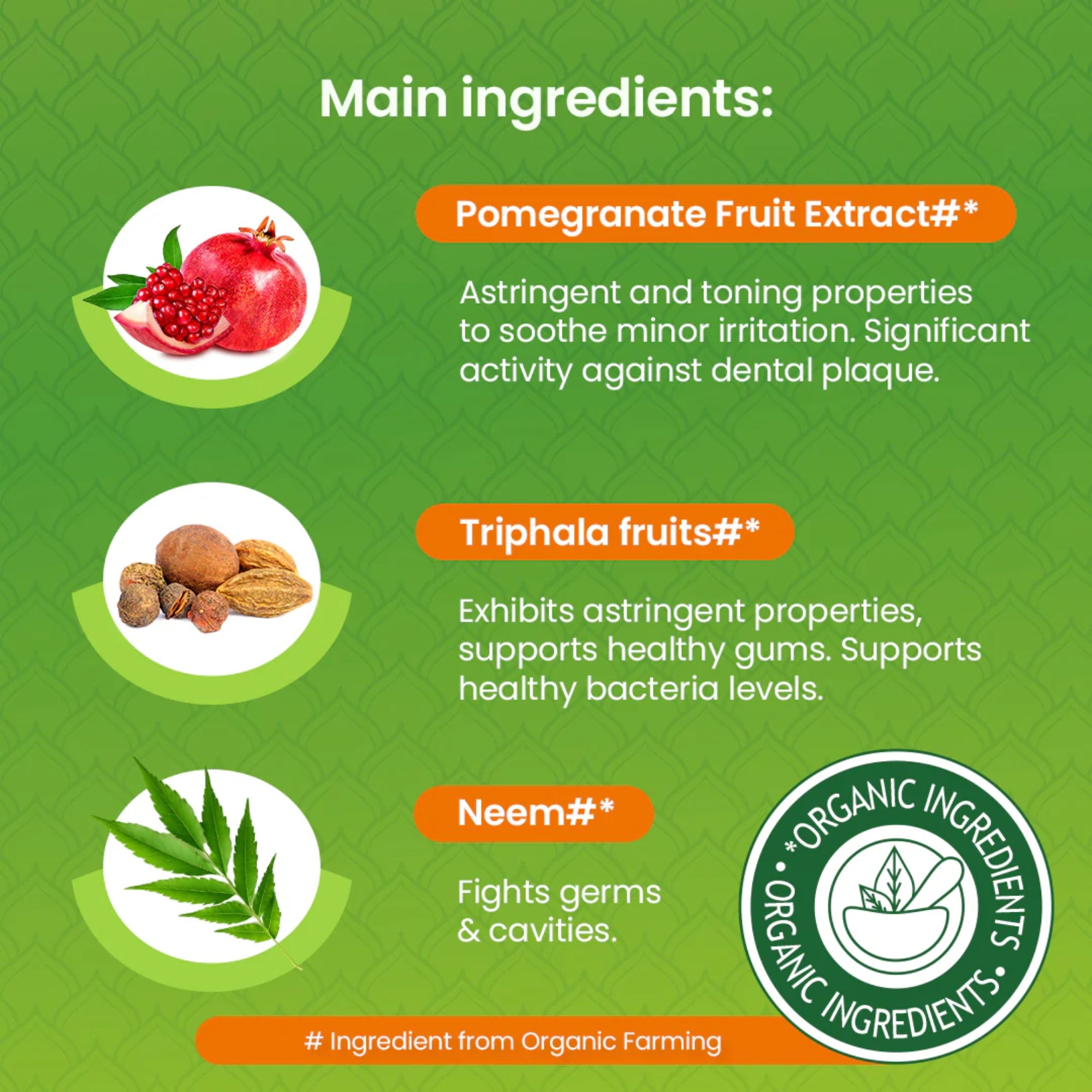 Botanische Zahnpasta mit Neem und Granatapfel | Himalaya