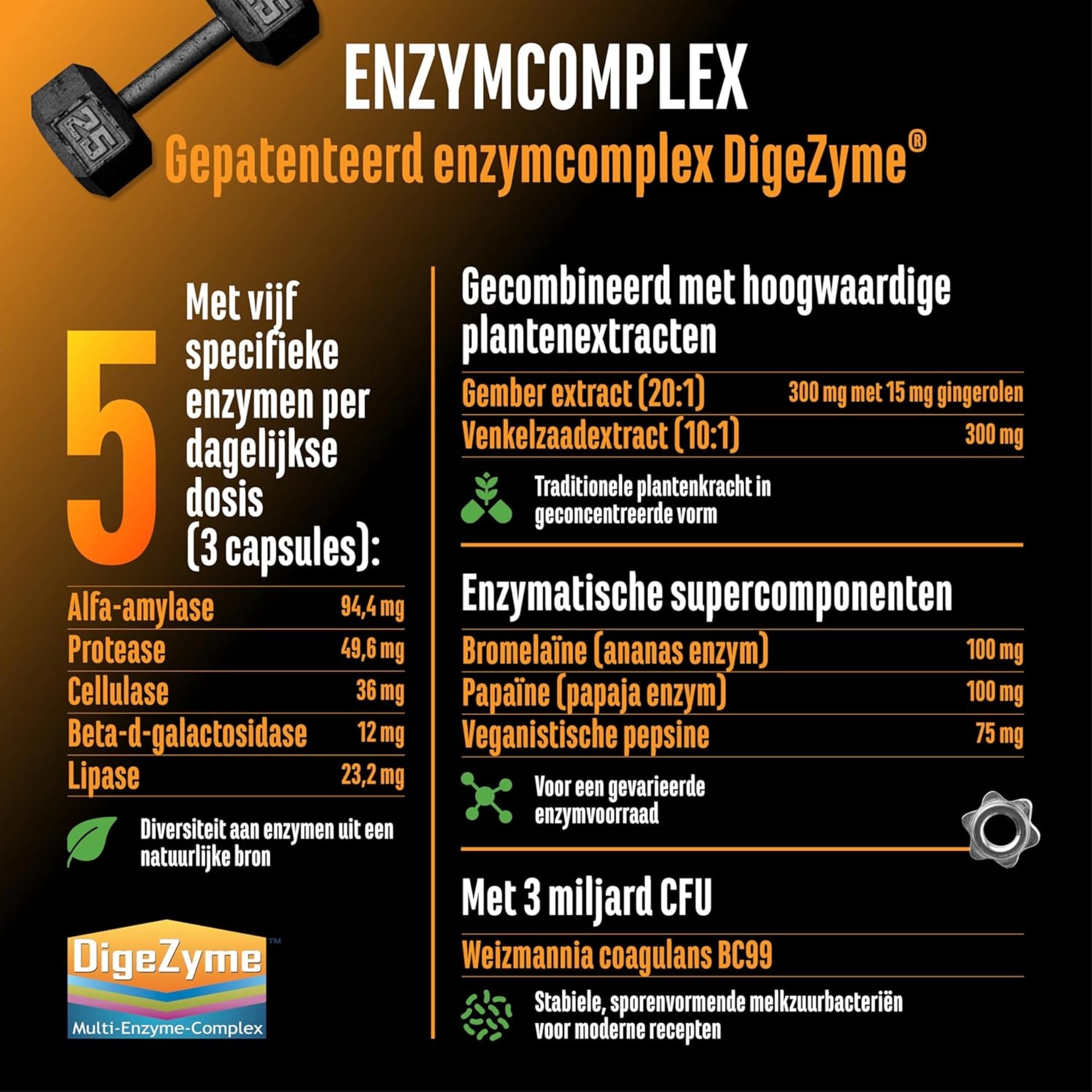 Enzymkomplex (DigeZyme®, Probiotika &amp; Pflanzenextrakte) | 120 Kapseln | German Elite Nutrition
