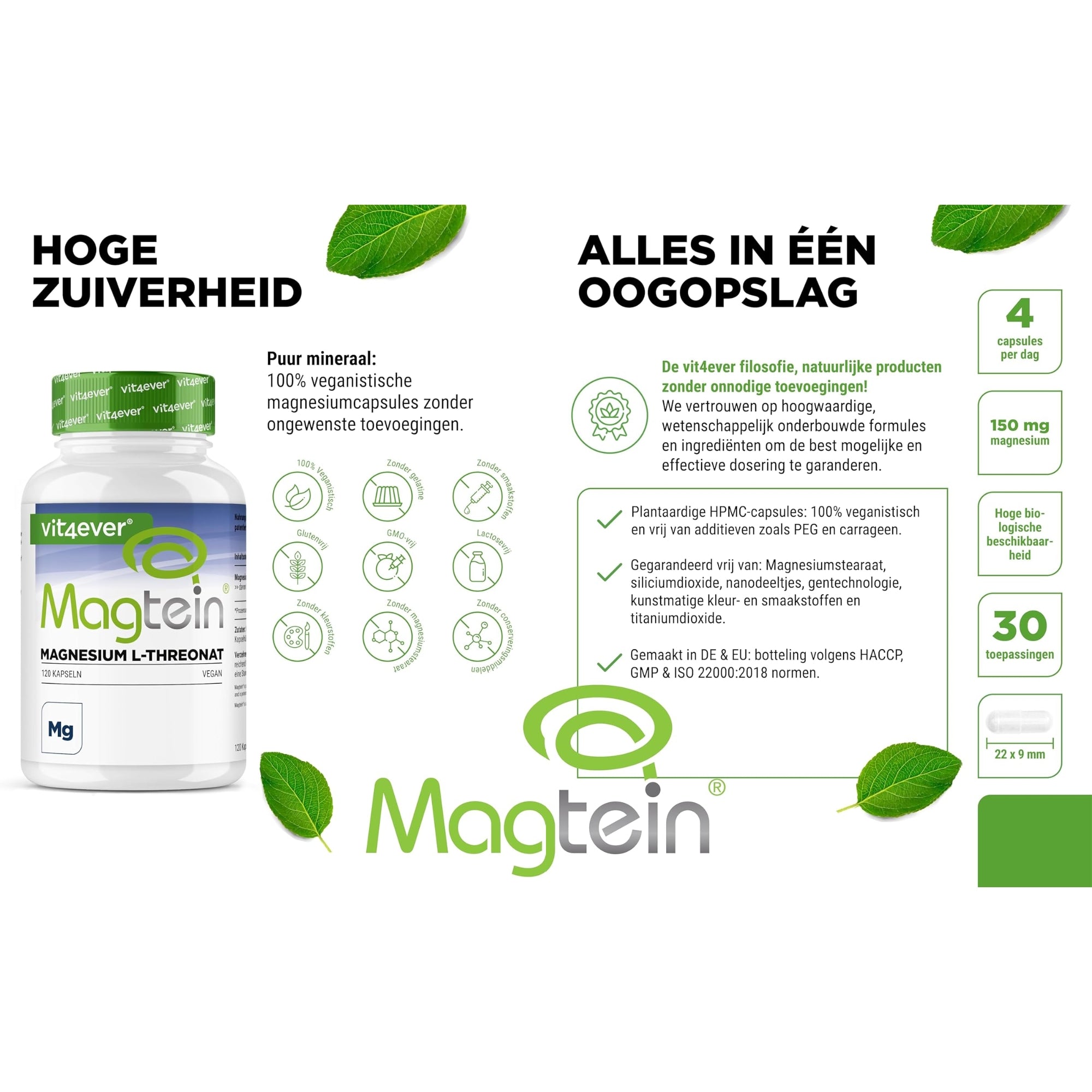 Magtein® Magnesium L-Threonaat | 120 capsules | Vit4ever