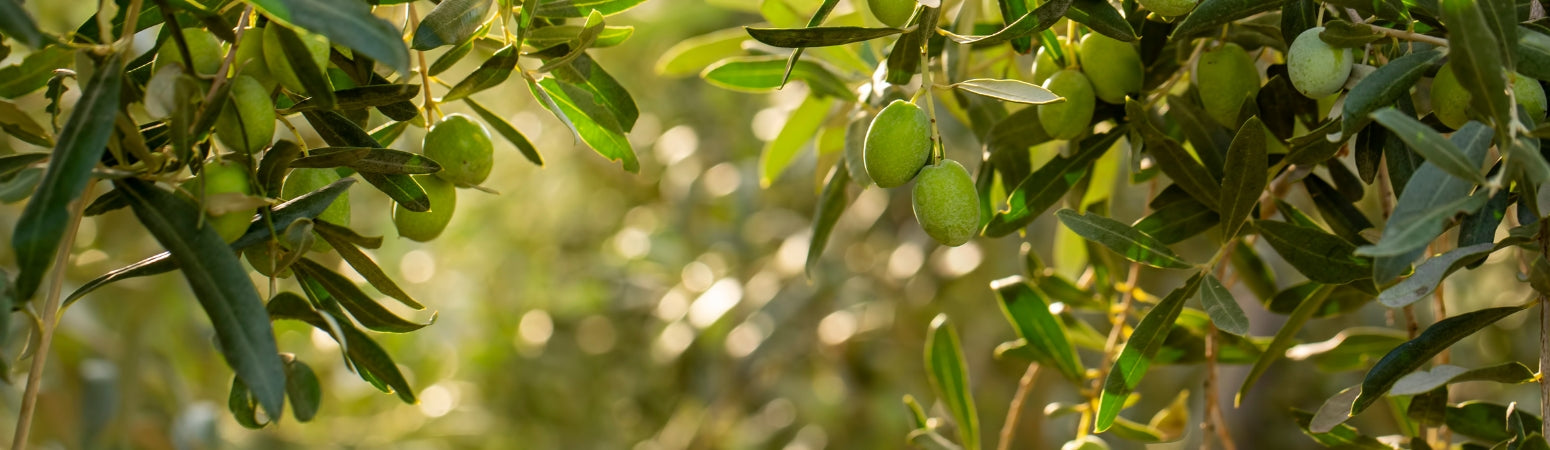 Ingredient Image Desktop