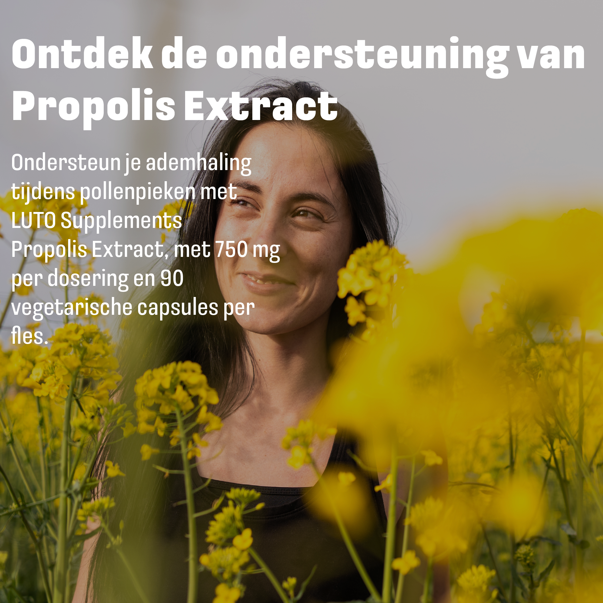 Propolis Extract 750 mg | 90 Capsules | LUTO Supplements