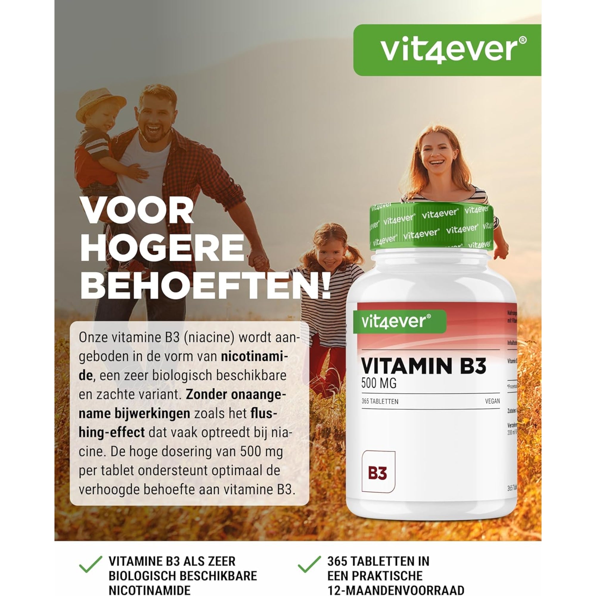 Vitamin B3 (Niacinamid) 500 mg | 365 Tabletten | Vit4ever