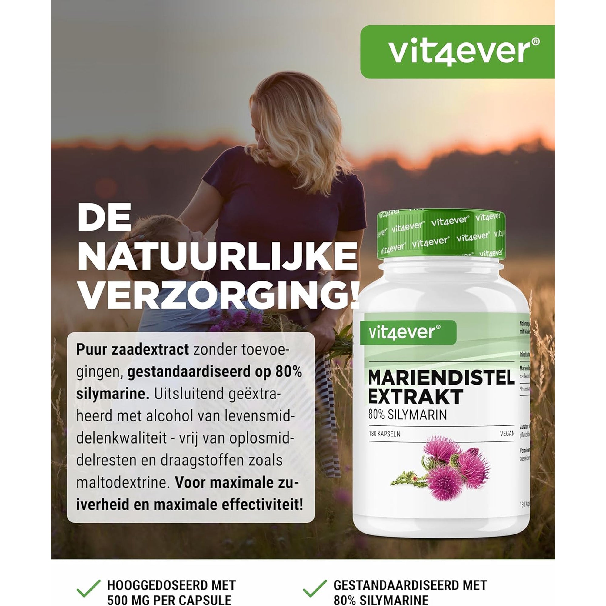 Mariendistelextrakt (80 % Silymarin) 500 mg | 180 oder 365 Kapseln | Vit4ever