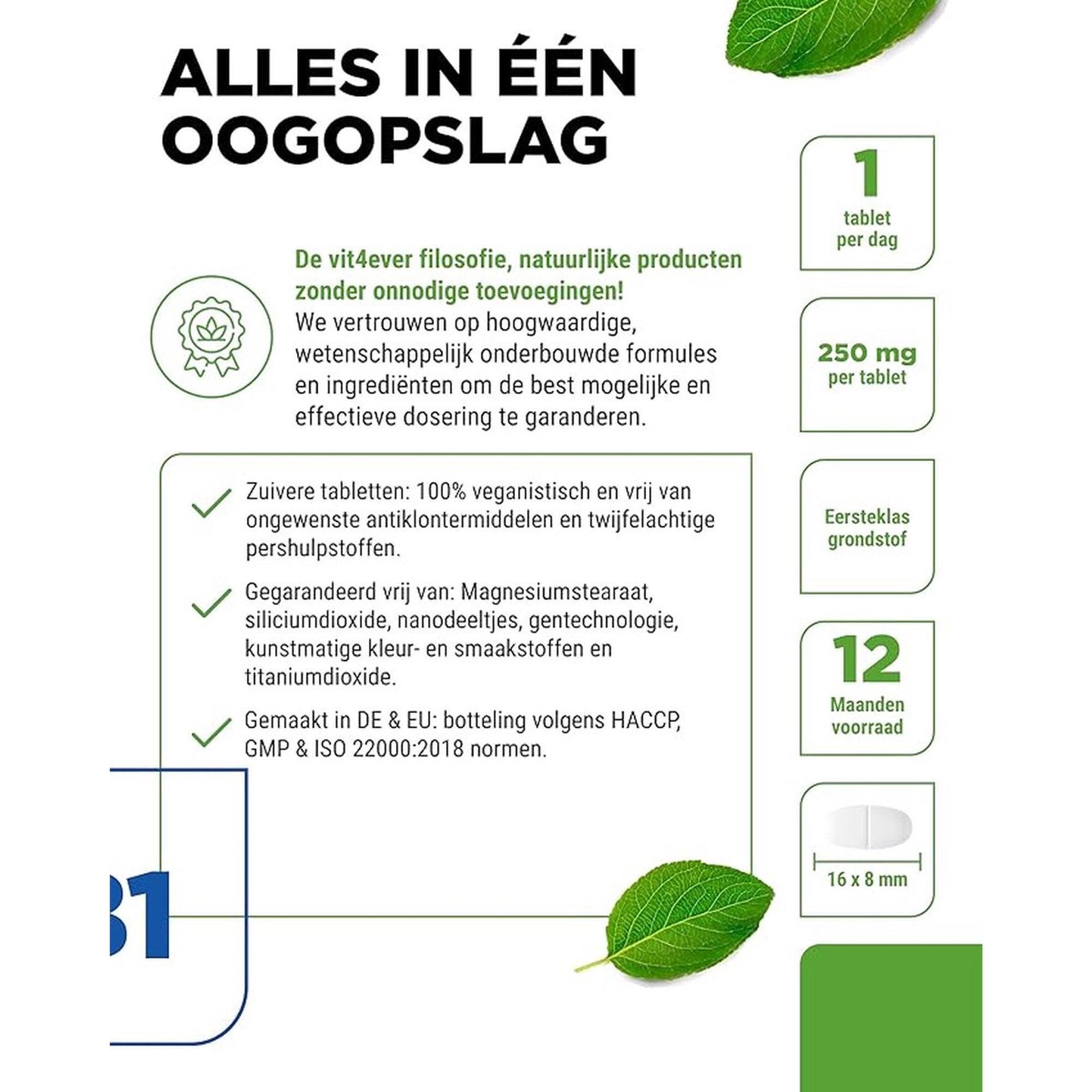 Vitamin B1 (Thiamin) 250 mg | 365 Tabletten | Vit4ever