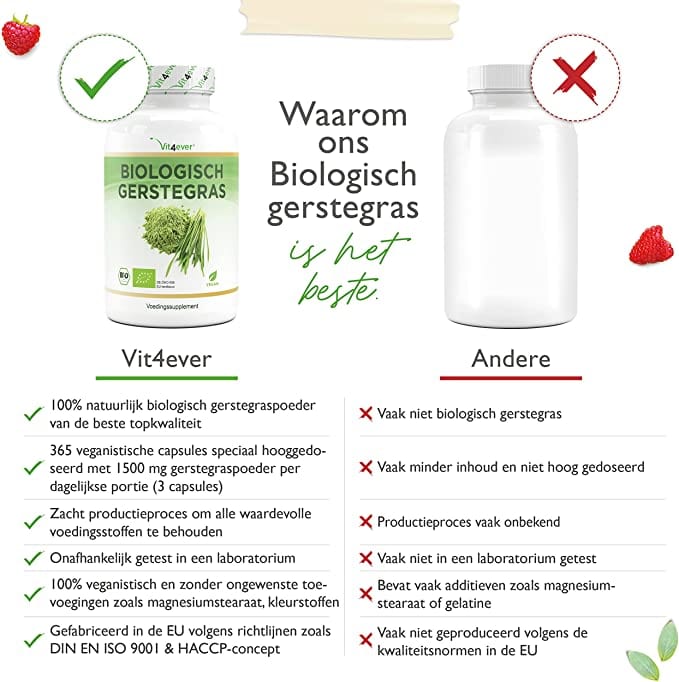 Bio-Gerstengras | 365 Kapseln | Vit4ever